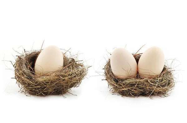 Huevos dentro de los nidos — Foto de Stock