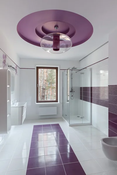 Luxusní toalety interiér — Stock fotografie
