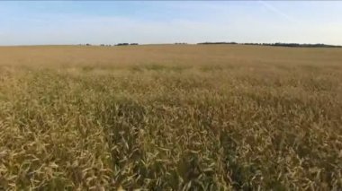 4 k. uçuş ve kalkış gün batımı, hava panoramik manzaraya kırpma alanının üstündeki.