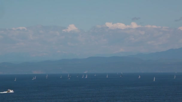 Yachting in de zee in Italië. — Stockvideo