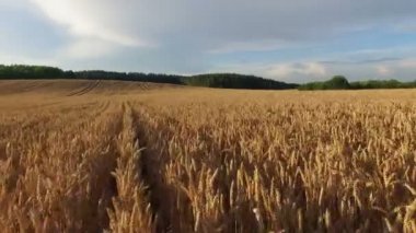 4 k. düşük uçuş ve kalkış gün batımı, hava panoramik manzaraya kırpma alanının üstündeki.