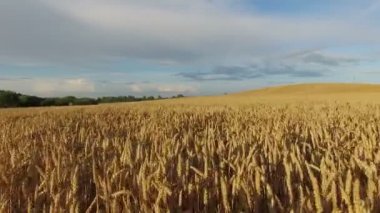 4 k. düşük uçuş günbatımı, hava panoramik manzaraya kırpma alanının üstündeki.