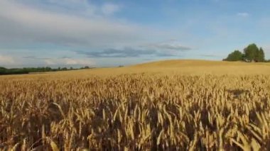 4 k. düşük uçuş ve kalkış gün batımı, hava panoramik manzaraya kırpma alanının üstündeki.