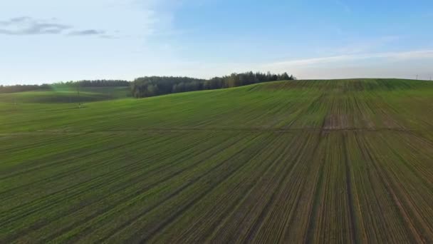 4 k. vlucht boven groene heuvels en velden bij zonsondergang, luchtfoto panoramisch uitzicht. — Stockvideo