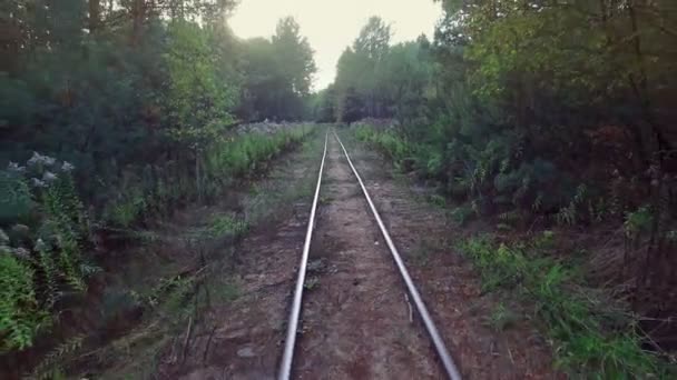 4K. Volo basso sopra la ferrovia a scartamento ridotto nella foresta, vista aerea . — Video Stock