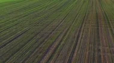 Uçuş ve kalkış yukarıda yeşil tepelerin ve günbatımı, hava panoramik görünüm alanları.