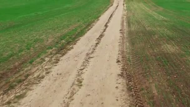 Low flight above green fields with dirt road, aerial panoramic view. — Stock Video
