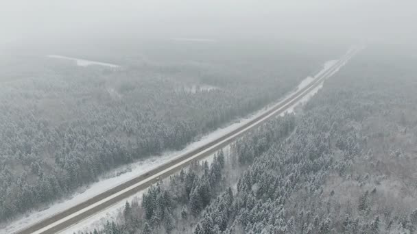 4 κ. δρόμο μέσα στο δάσος του χειμώνα με την οδήγηση αυτοκινήτων. Εναέρια πανοραμική θέα. Προοπτική "σημείο φυγής". — Αρχείο Βίντεο