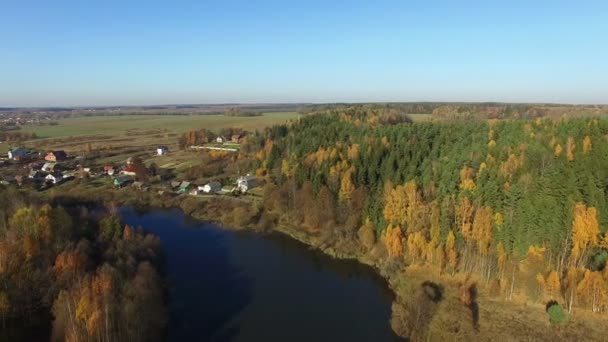 4K. Flight over lake and forest in golden autumn, aerial panoramic view. — Stock Video