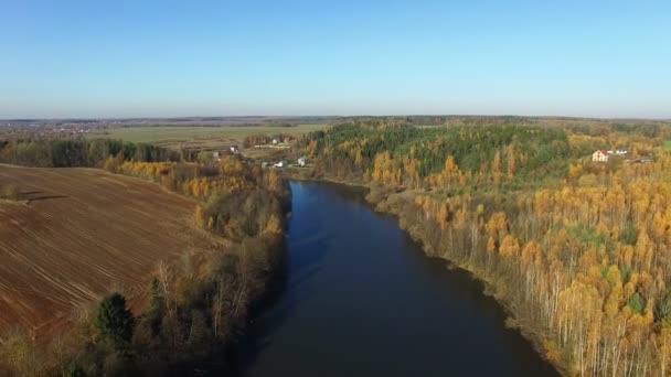 4K. Vol au-dessus du lac et de la forêt en automne doré, vue panoramique aérienne .