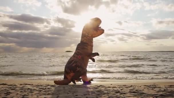 Riesiger aufblasbarer Dinosaurier mit Person im Inneren spaziert bei Sonnenuntergang am Meeresstrand. — Stockvideo