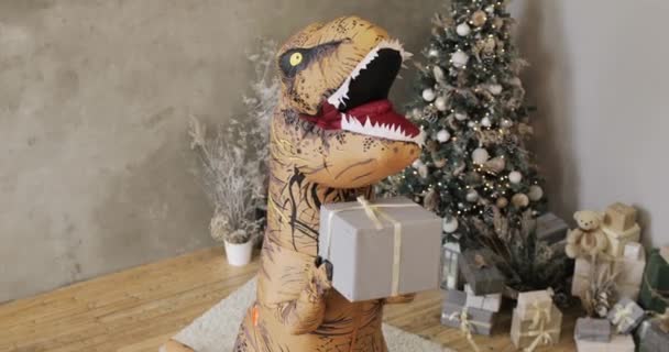 Groot opblaasbare dinosaurus schudden geschenkdoos in de buurt van kerstboom in Nieuwjaar tijd. — Stockvideo