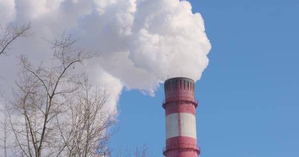 Paksu valkoinen savu pakenee lämpövoimalaitoksen savupiipusta ja haihtuu siniselle taivaalle. — kuvapankkivideo
