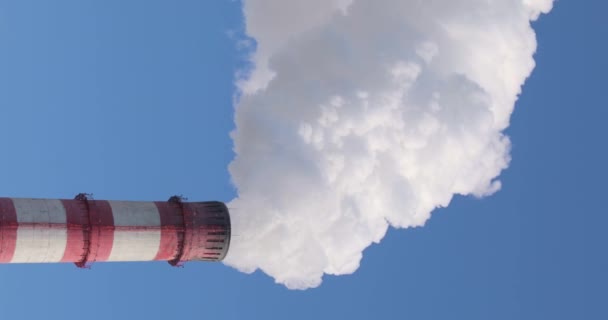 El espeso humo blanco escapa de la chimenea de la central térmica y se disipa en el cielo azul. Vídeo vertical. — Vídeos de Stock