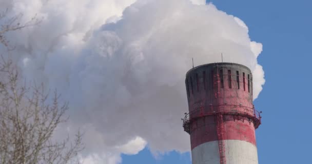 Kalın beyaz buhar termik santralin bacasından çıkar ve mavi gökyüzüne doğru kaybolur.. — Stok video