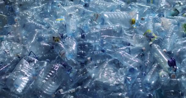 Veel plastic blauwe flessen met doppen. Close-up. — Stockvideo