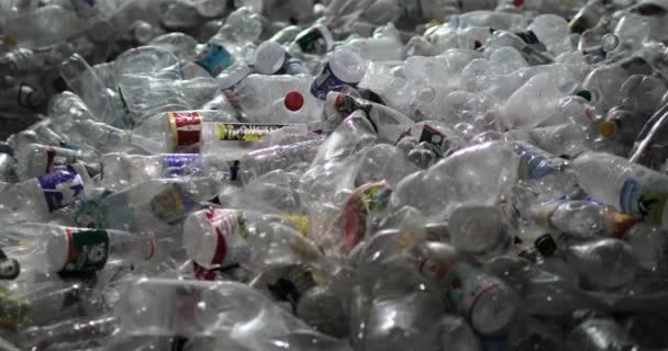 Пластиковые бутылки с крышками и этикетками сортируются из других отходов. Крупный план. — стоковое видео