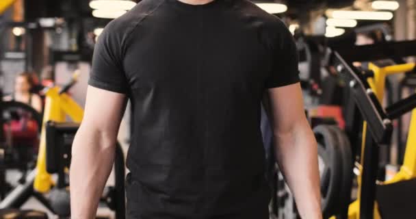 身穿黑色T恤的运动员的躯干带着哑铃在体育馆里做二头肌运动。前景. — 图库视频影像