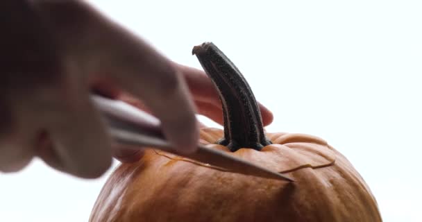 Mãos masculinas cortando uma abóbora madura para a celebração do Dia das Bruxas, sobre fundo branco. Close-up. — Vídeo de Stock