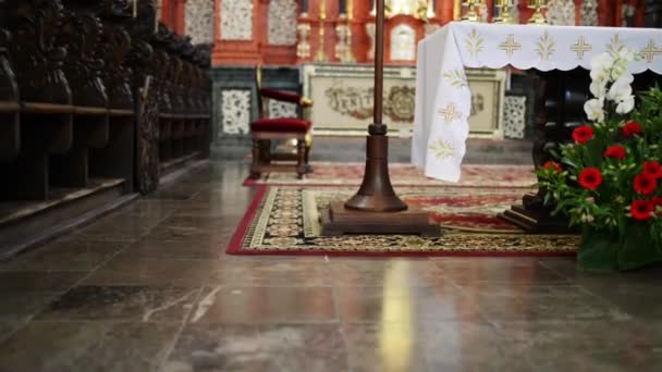 Poznan, Polonya 'daki St. Anthony Fransisken Kilisesi — Stok video