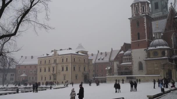 Wawel στην όχθη του ποταμού Βιστούλα στη Κρακοβία, Πολωνία — Αρχείο Βίντεο