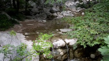 Küçük kız Nordic Walking devreye girer