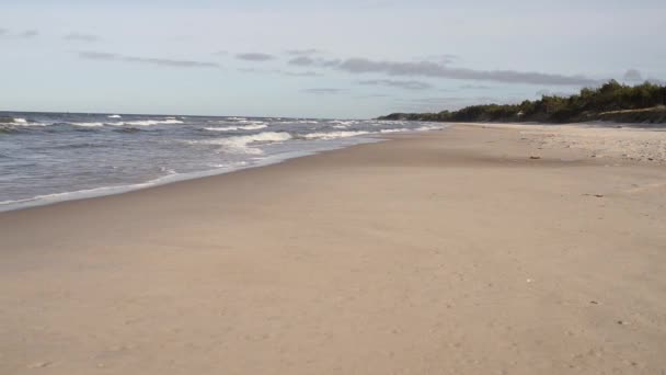 Маленькая девочка прогулки вдоль берега Балтийского моря — стоковое видео