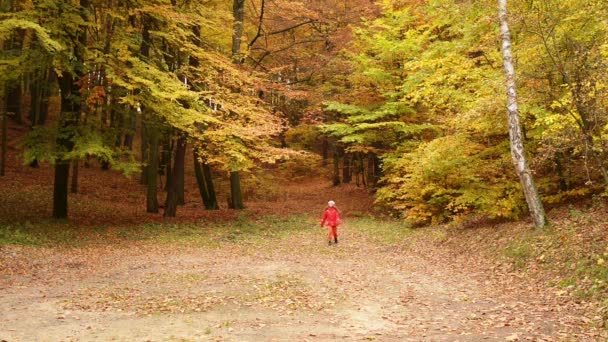 Trochę piękna dziewczyna na jesień park miejski — Wideo stockowe