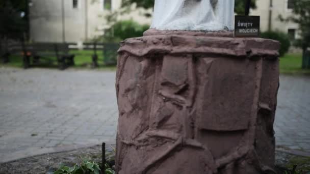 Monument St. Adalbert in Paslek, Poland — Stock Video