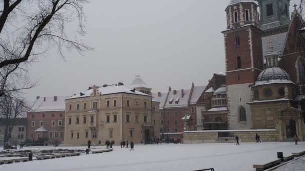 Wawel nad brzegiem Wisły — Wideo stockowe