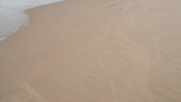 Little girl walks along shore of Baltic Sea — Stock Video