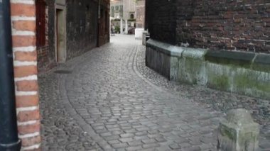 Bazilikası St Mary varsayım Gdansk