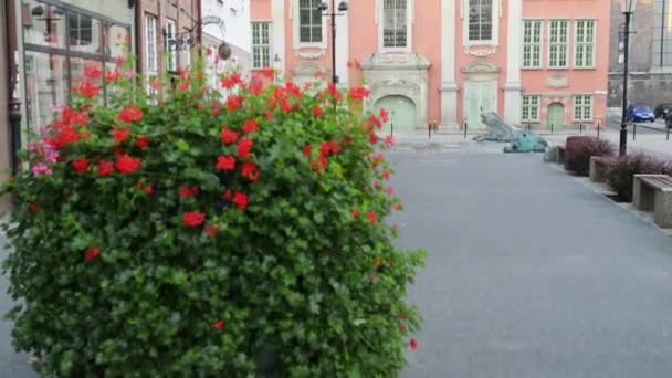 Koninklijke katholieke kapel in Gdansk, Polen — Stockvideo