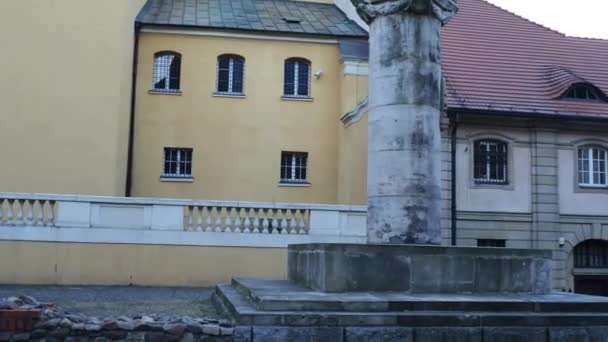 Monument 15e Cavalry in Poznan, Polen Regiment — Stockvideo