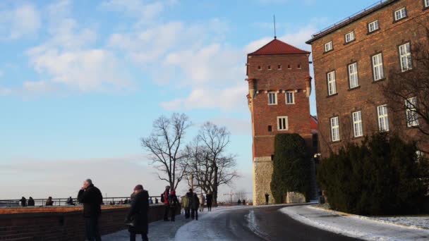 Wawel na břehu řeky Visly v Krakově, Polsko — Stock video