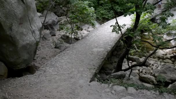 La bambina è impegnata nel Nordic Walking — Video Stock