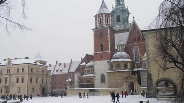 Wawel am Ufer des Weichselflusses in Krakau, Polen — Stockvideo