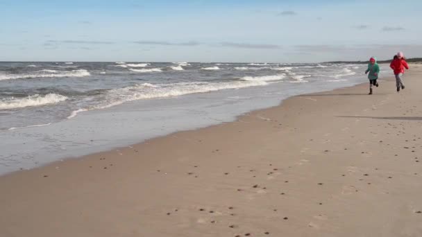 Две сестры, идущие вдоль берега Балтийского моря — стоковое видео