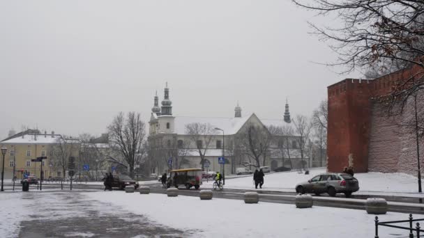 Wawel a orillas del río Vístula en Cracovia, Polonia — Vídeos de Stock