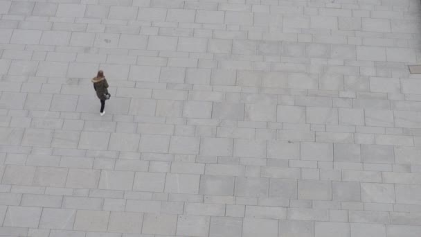 Vista aérea de los turistas caminando — Vídeos de Stock