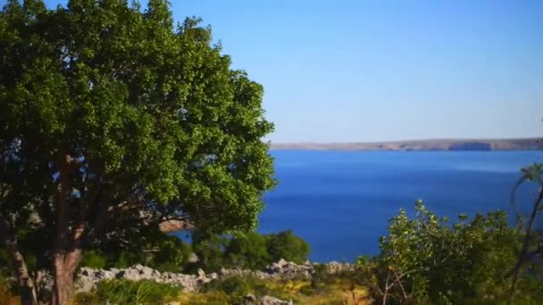 Kroatische Küste am adriatischen Meer — Stockvideo