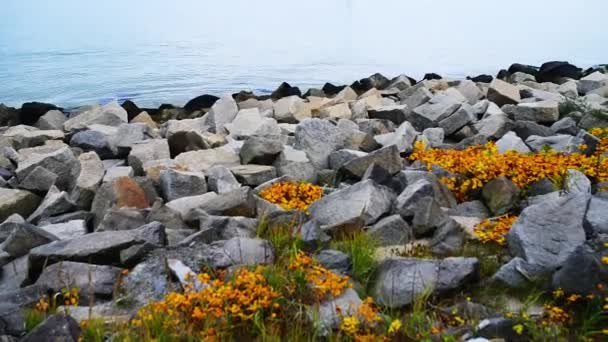 Westplatte Denkmal polnischer Verteidiger, Danzig — Stockvideo