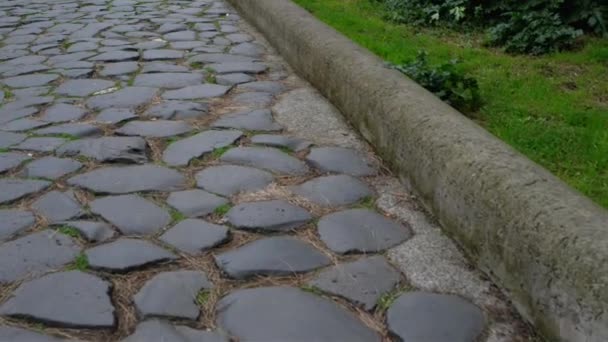 Santi Luca e Martina est une église de Rome, Italie. — Video