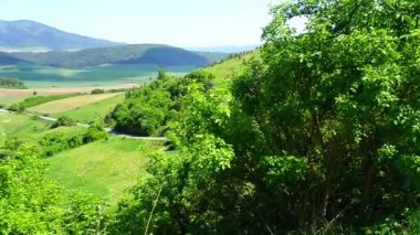 Panoramik dalgalı çayırlar ve alanları