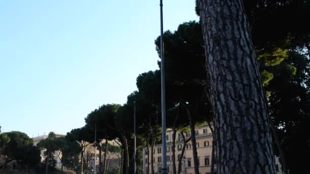 Πιάτσα Βενέτσια είναι κομβικό σημείο της Ρώμη, Ιταλία — Αρχείο Βίντεο