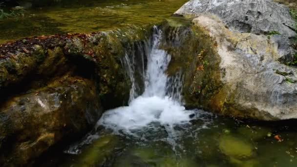 Velika Paklenica kárstico cañón del río — Vídeo de stock