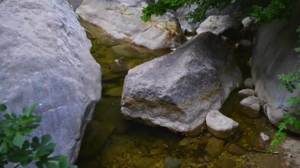 Velika Paklenica karst river canyon — Stockvideo