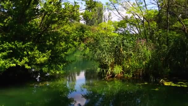 Milli Park Krka Hırvat biridir — Stok video