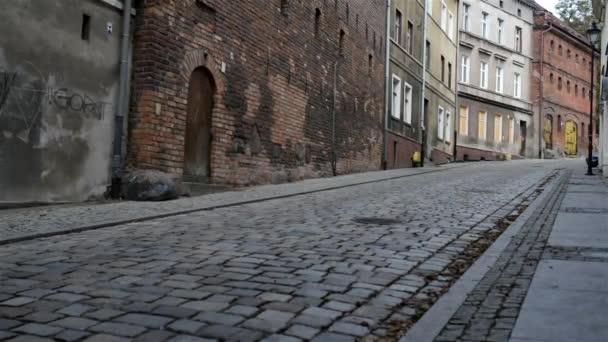 고 대 도시에 걸어 두 젊은 아름 다운 소녀 — 비디오