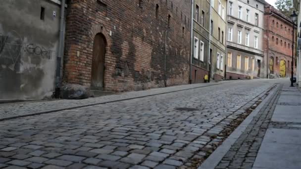 Två unga vackra tjejer går på gamla staden — Stockvideo